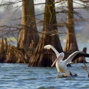 Meet your Posher, Marybethandtim